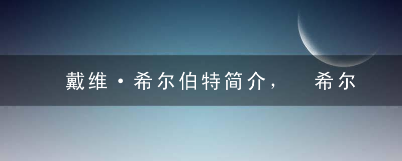 戴维·希尔伯特简介， 希尔伯特的故事